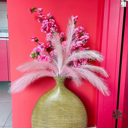 O Apartamento Rosa João Pessoa Eksteriør bilde